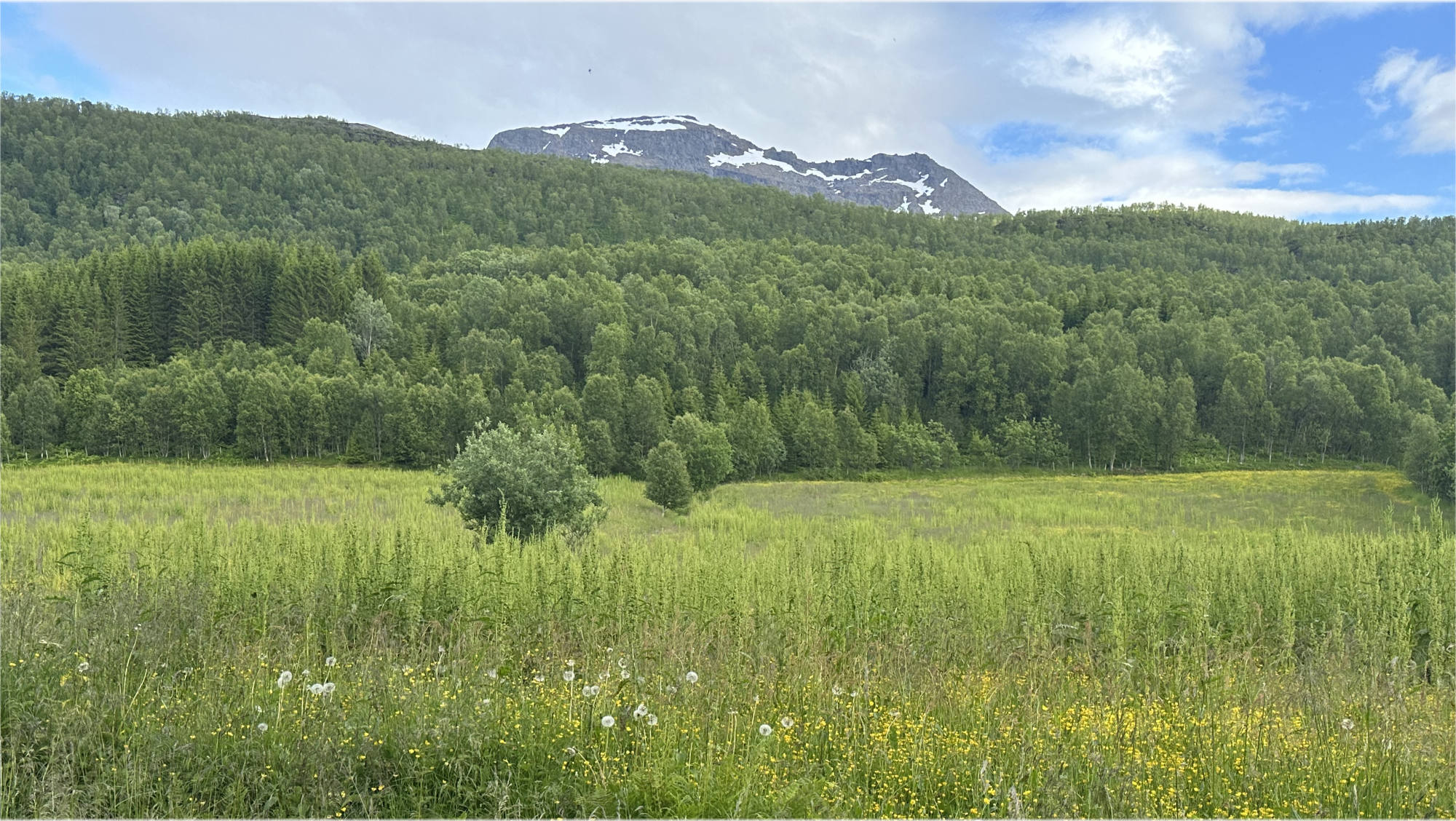 Site with sea and mountain view to Senja